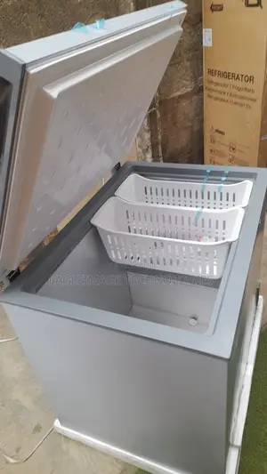 Skyrun BD-260A Home and Business Freezer