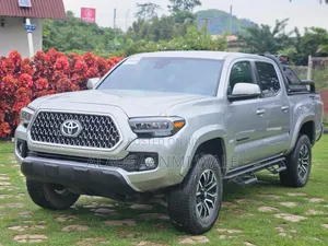 Toyota Tacoma TRD Off Road 2021 Gray