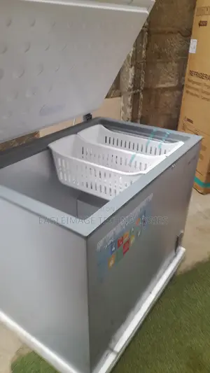 Skyrun BD-260A High-Capacity Deep Freezer