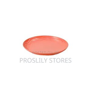 Picnic/ Dinning Plates X 6pcs Multicoloured