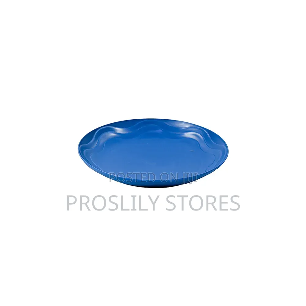 Picnic/ Dinning Plates X 6pcs Multicoloured