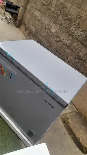 New Skyrun BD-260A Bulk Storage Freezer