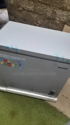 New Skyrun BD-260A Bulk Storage Freezer