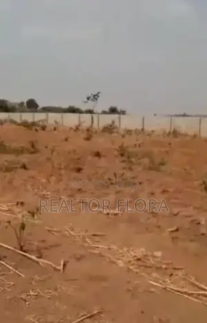 Real Estate Lands