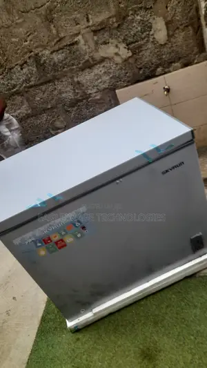 BD-260A Skyrun Freezer for Frozen Food Business