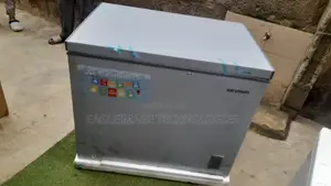 Skyrun BD-260A Large Deep Freezer