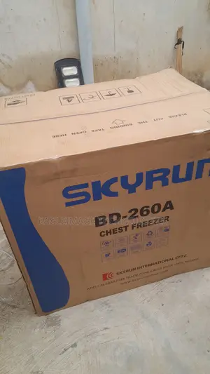 Skyrun BD-260A Large Deep Freezer