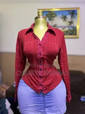 Ladies Long Sleeve Tops