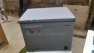 Skyrun BD-260A 260L Frozen Food Storage Solution