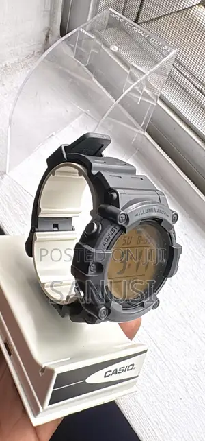 Casio Wrist Watch