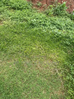 FCDA C of O Land for Sale at Apo Wassa