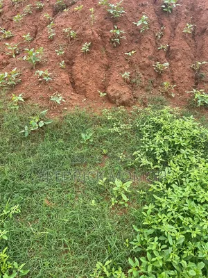 FCDA C of O Land for Sale at Apo Wassa
