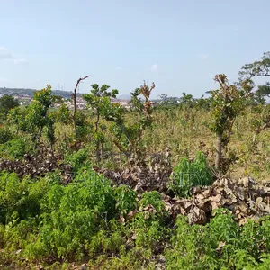 Spacious Residential Land for Sale