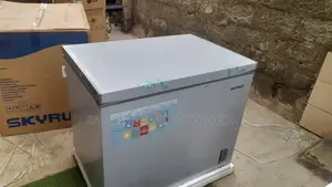 Fast Freezing Skyrun BD-260A Freezer