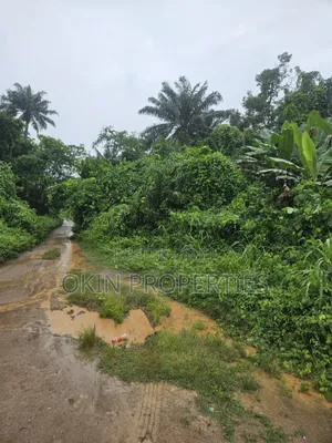 Acres of Land at Alajue Beside Osun Airport