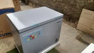 High Performance Skyrun BD-260A Deep Freezer Unit