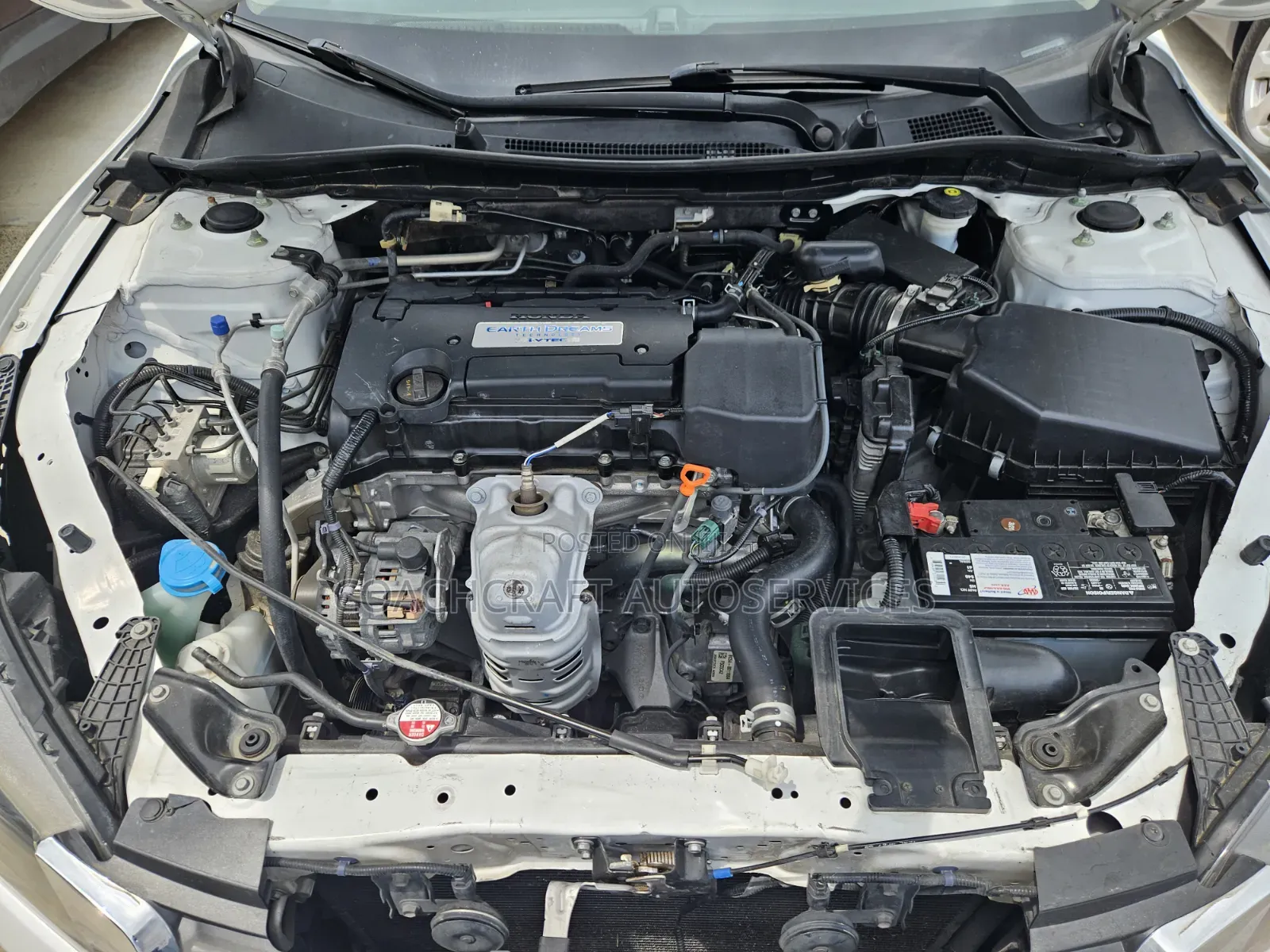 Honda Accord 2014 White