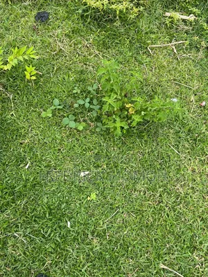 450sqm FCDA C of O Land for Sale at Apo Wassa FCT Abuja