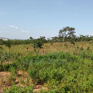 Prime Residential Land for Sale