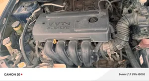 Toyota Corolla 2005 Blue