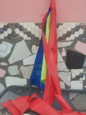 Flying Kite