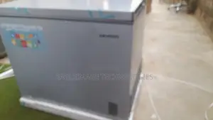 Spacious Skyrun BD-260A 260L Freezer for Home
