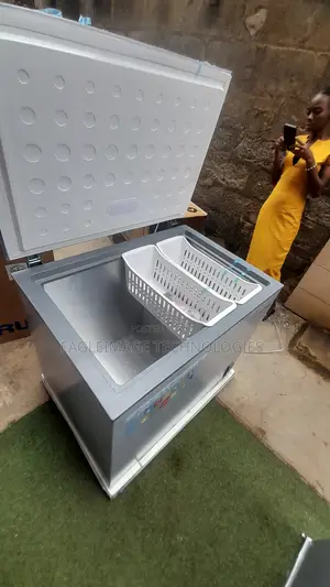 Commercial Grade Skyrun 260L Chest Freezer BD-260A
