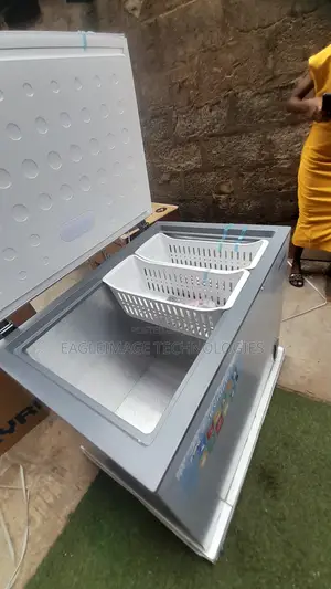 Bulk Storage Skyrun BD-260A 260 Litres Freezer
