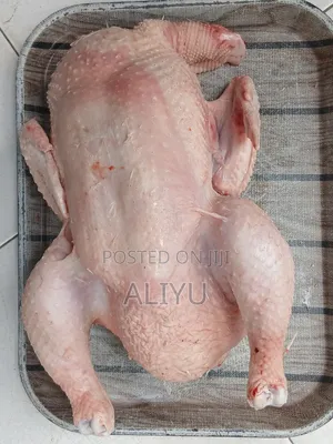 Whole Dressed and Live Broiler Chicken