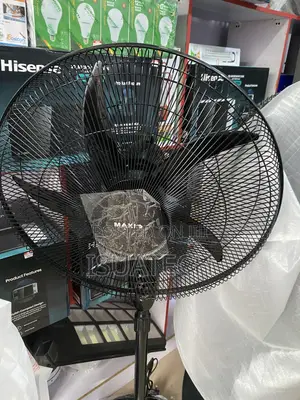 Standing Fan