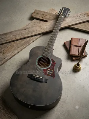 Semi Acoustic Guitar