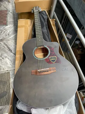 Semi Acoustic Guitar