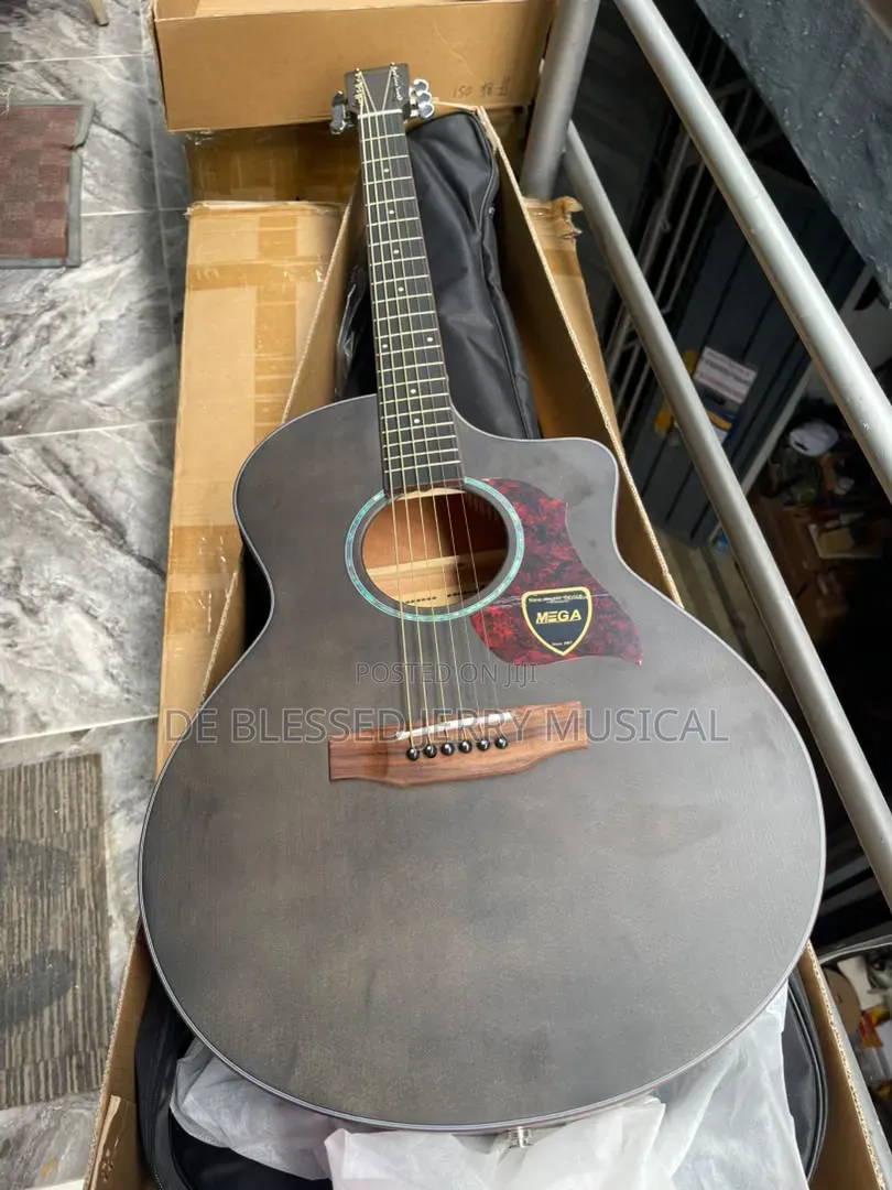 Semi Acoustic Guitar