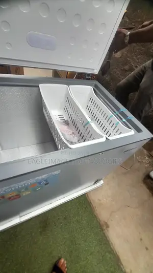 Cost-Effective Skyrun 260L Chest Freezer BD-260A