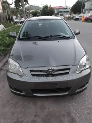 Toyota Corolla 2007 Gray