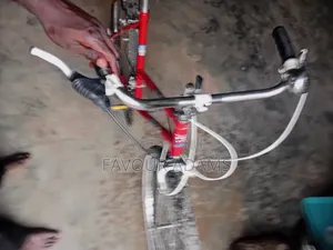 Sweet Deal Bicycle