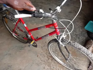 Sweet Deal Bicycle