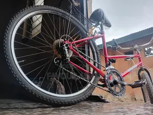 Sweet Deal Bicycle