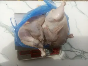 Frozen Chicken