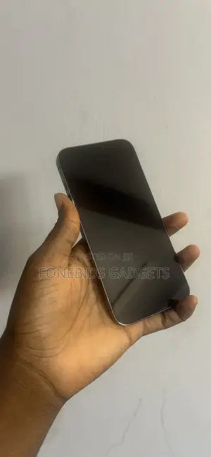 Apple iPhone 12 Pro Max 256 GB Gray