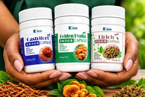 Liver Problems? Put an End to It Before It Worsens