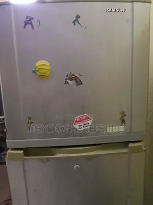 Standing Fridge