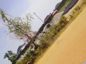 Dangote Cement Distributor