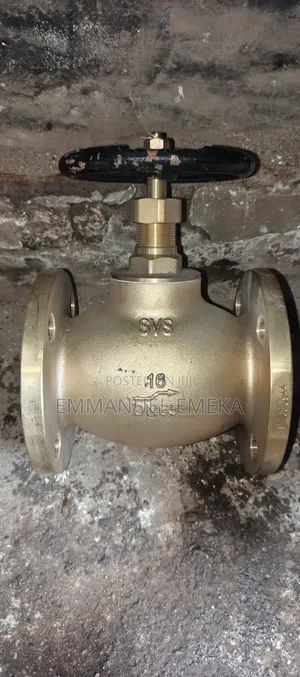 Globe Valve DN 65