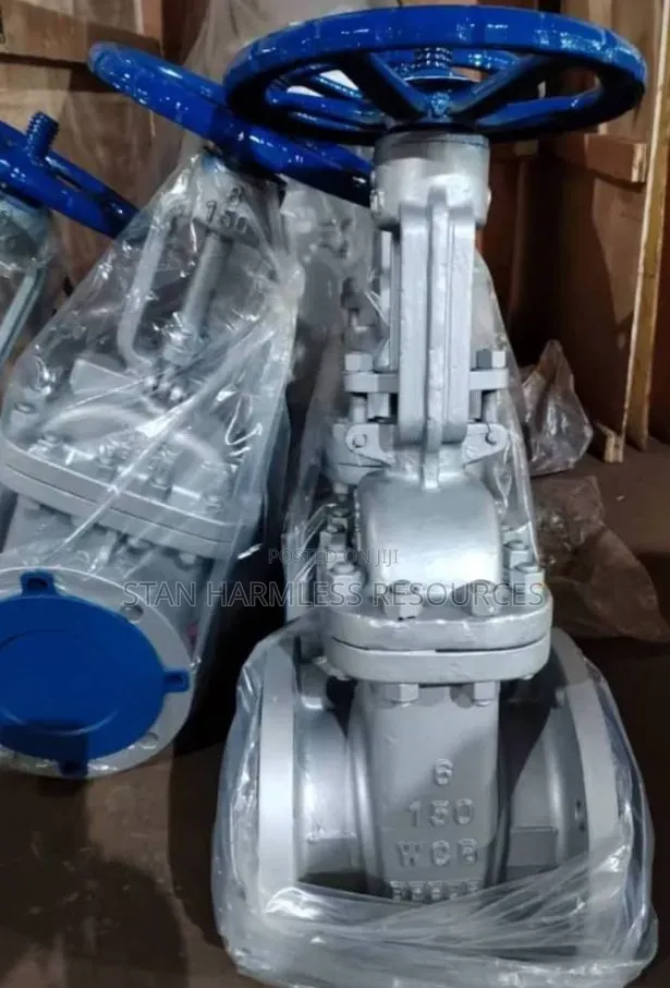 12" Gate Valve