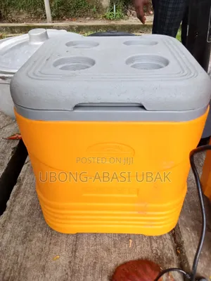 Cooler for Perfect Outdoor Mini Catering and Parties
