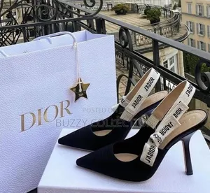 Exclusive Quality Luxury Dior Stiletto Shoe