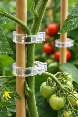 100 PCS Amatropics Tomato Clips
