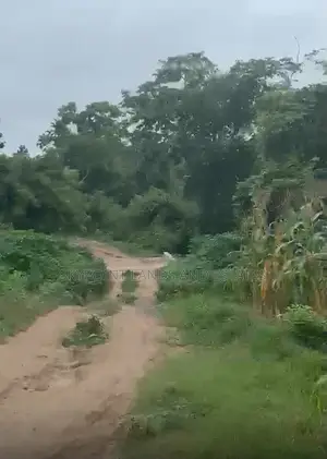 30,000 Acres Available at Ilesa Osun State