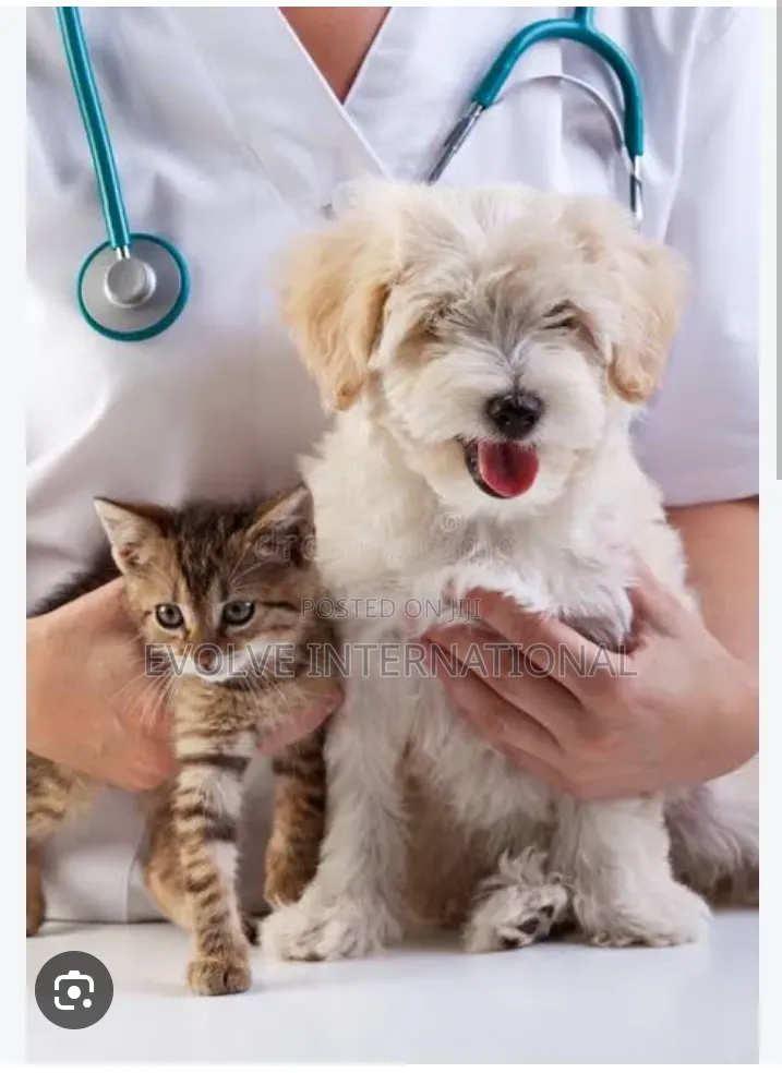 Pet Grooming and Vaccination